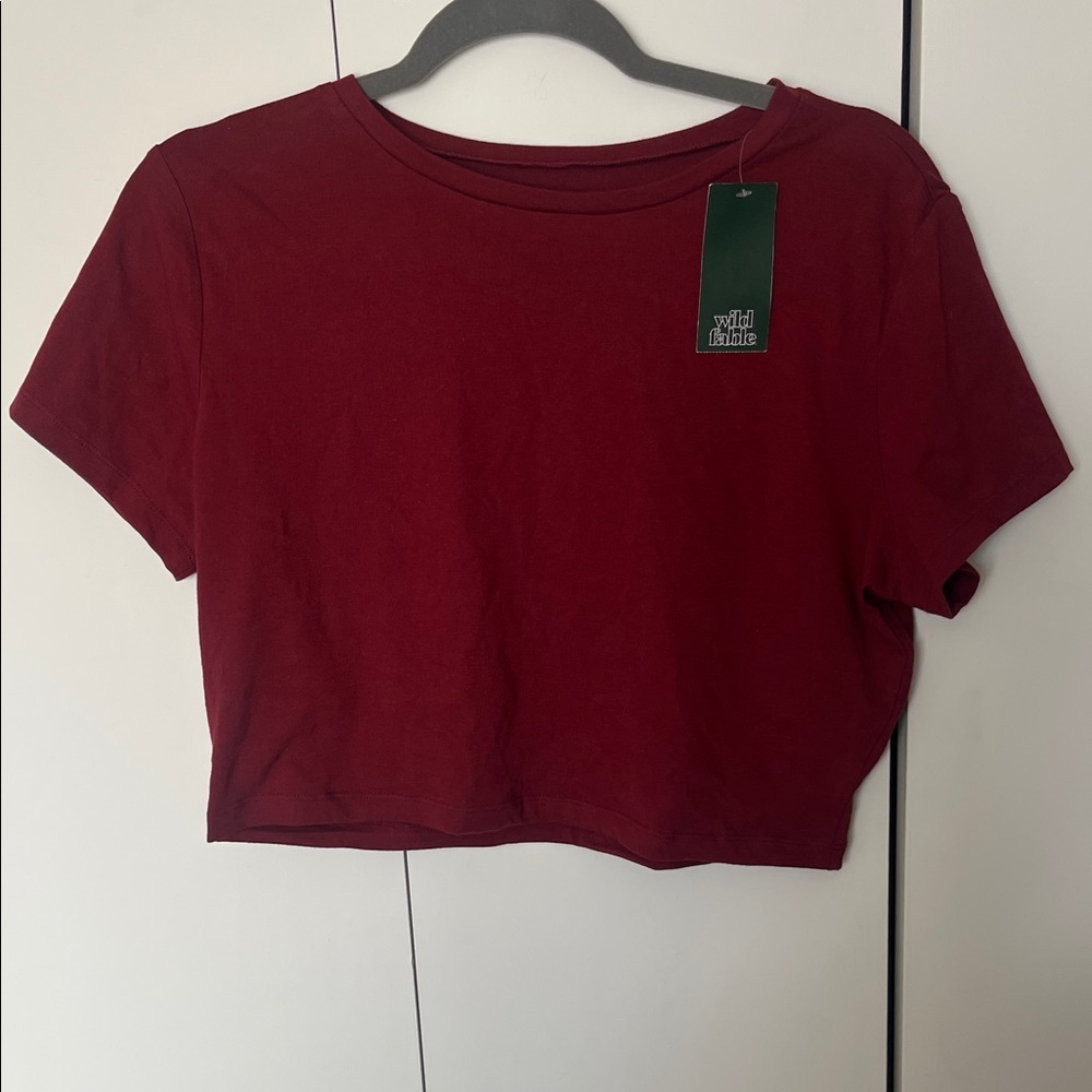 wild fable Burgundy Cropped Tee